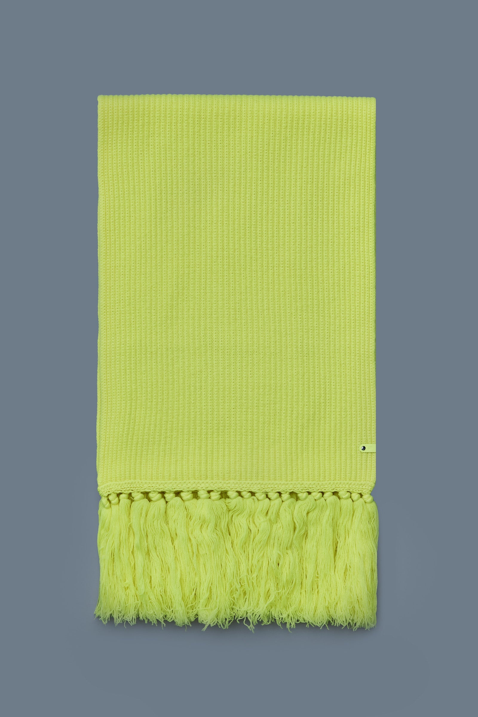 MONA Rectangular wool scarf with fringed ends - 1