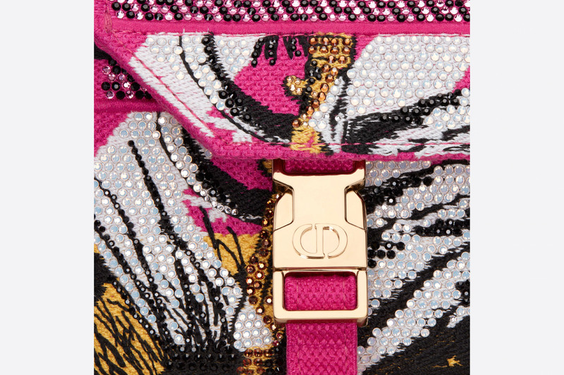 Small Diorcamp Bag 6