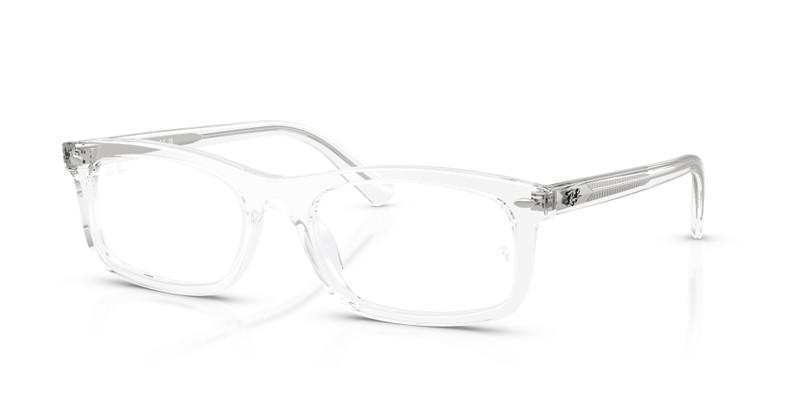 RB5450 OPTICS 1