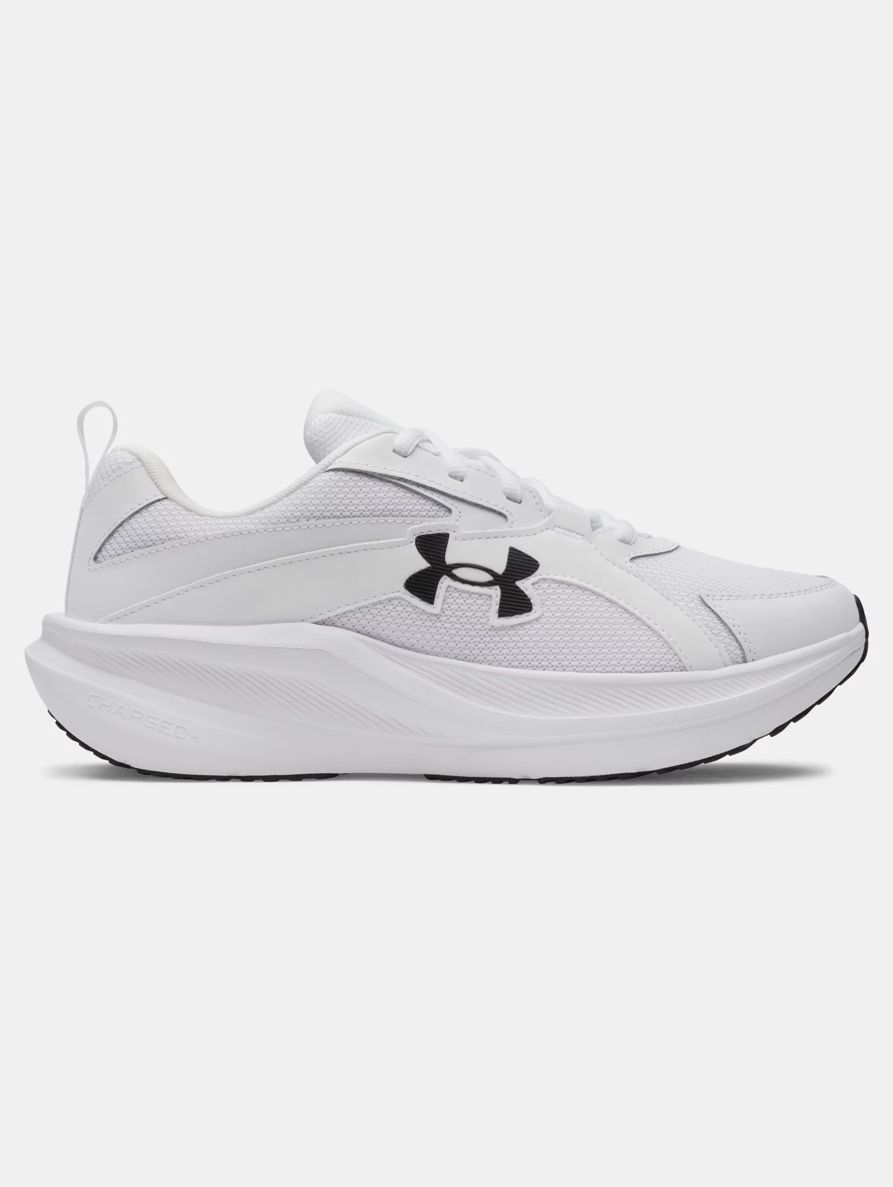 UA Assert 11 - 1