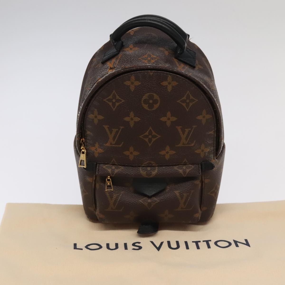 LOUIS VUITTON Monogram Palm Springs Mini Backpack M41562 - 12