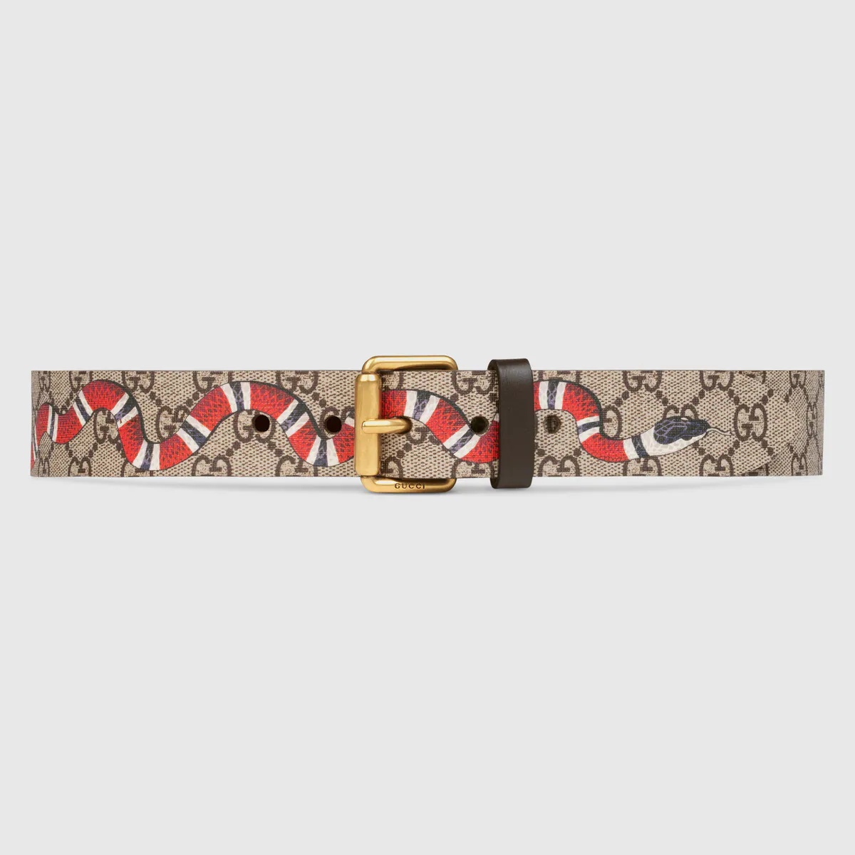 GG Supreme belt with Kingsnake print - 1