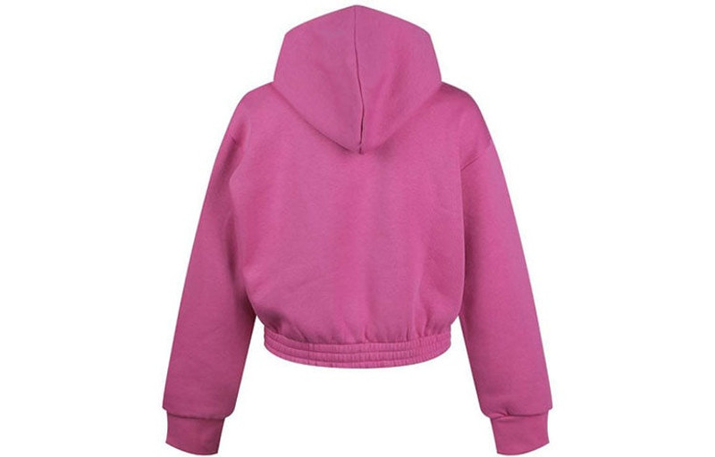 Nike (WMNS) Nike Sportswear Logo Printing Hoodie Purple CJ2035-691 outlook