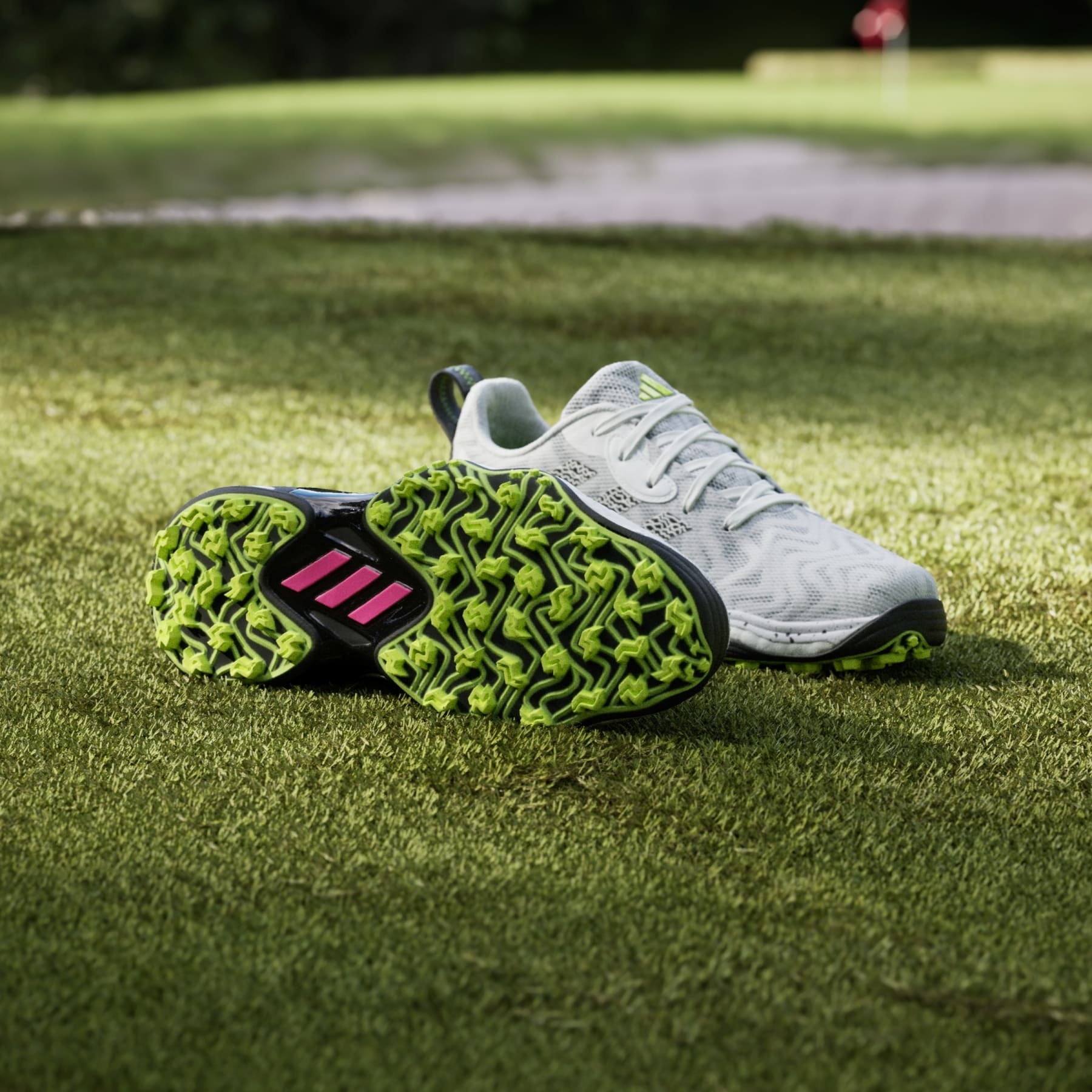 adidas Codechaos 25 Spikeless Golf Shoes - IF3268 | REVERSIBLE display picture 1