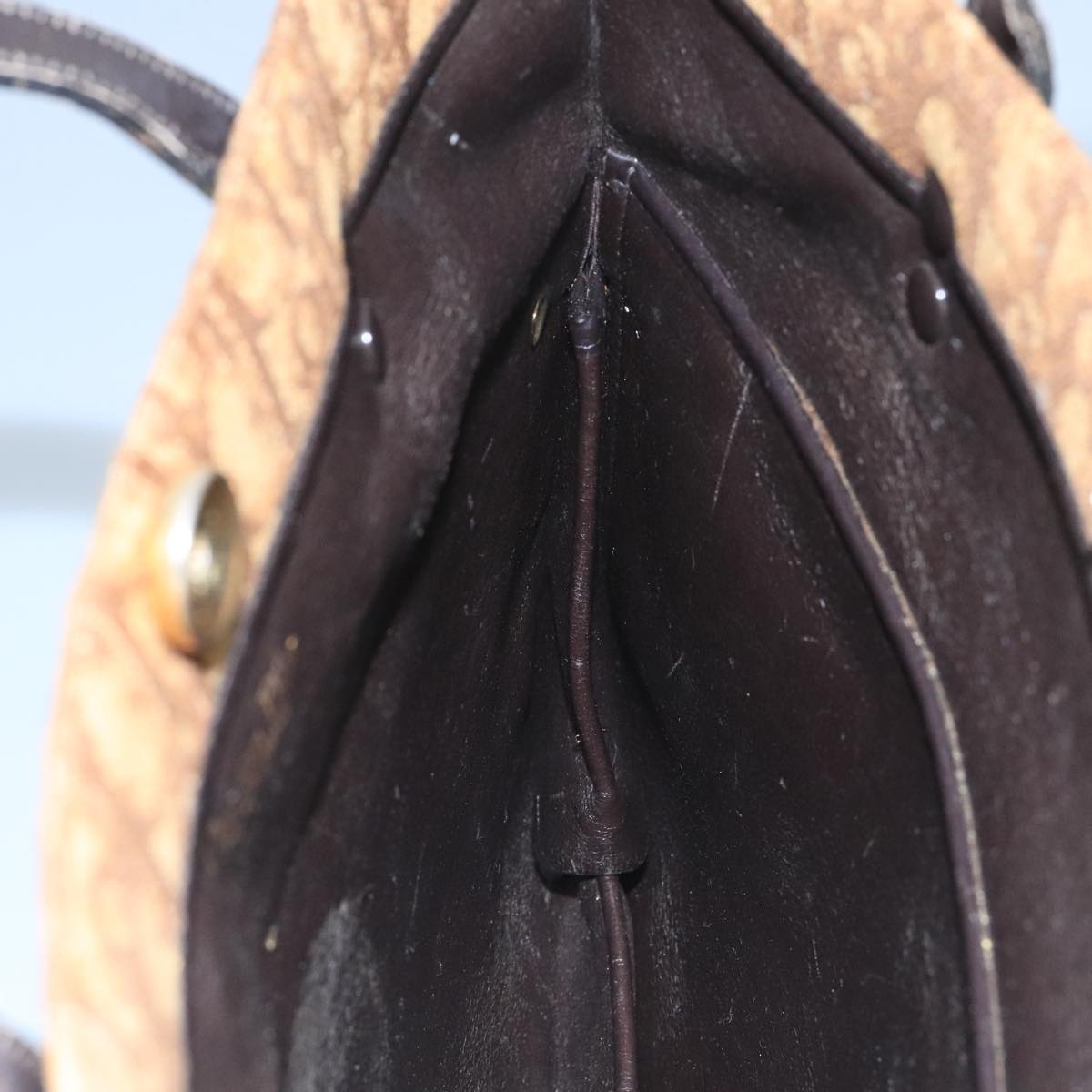 DIOR Trotter Canvas Hand Bag Brown - 12