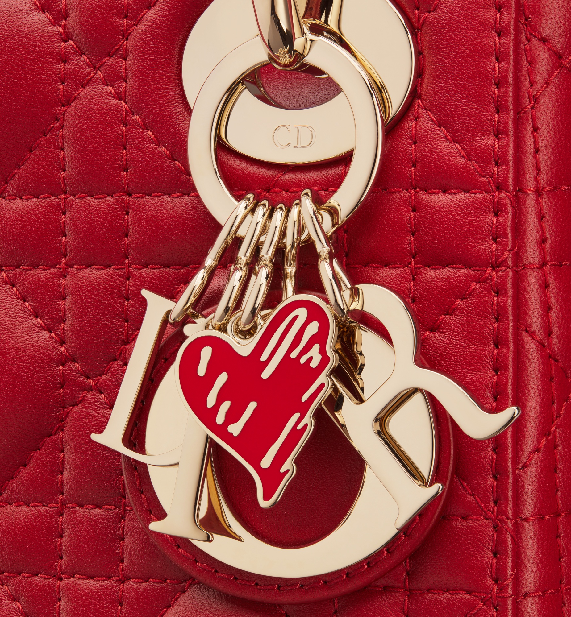 Dioramour Mini Lady Dior Bag - 6