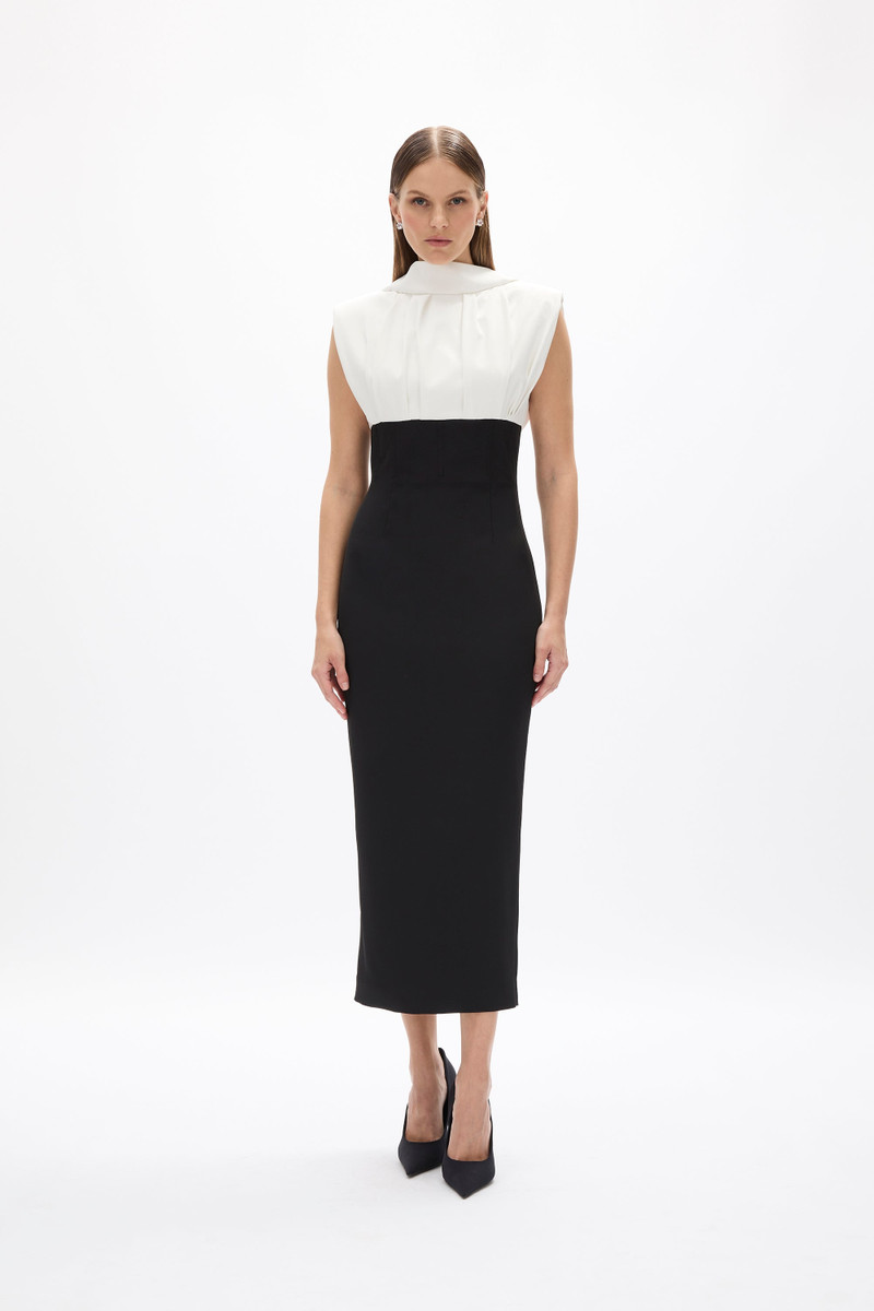 DION DRESS 1