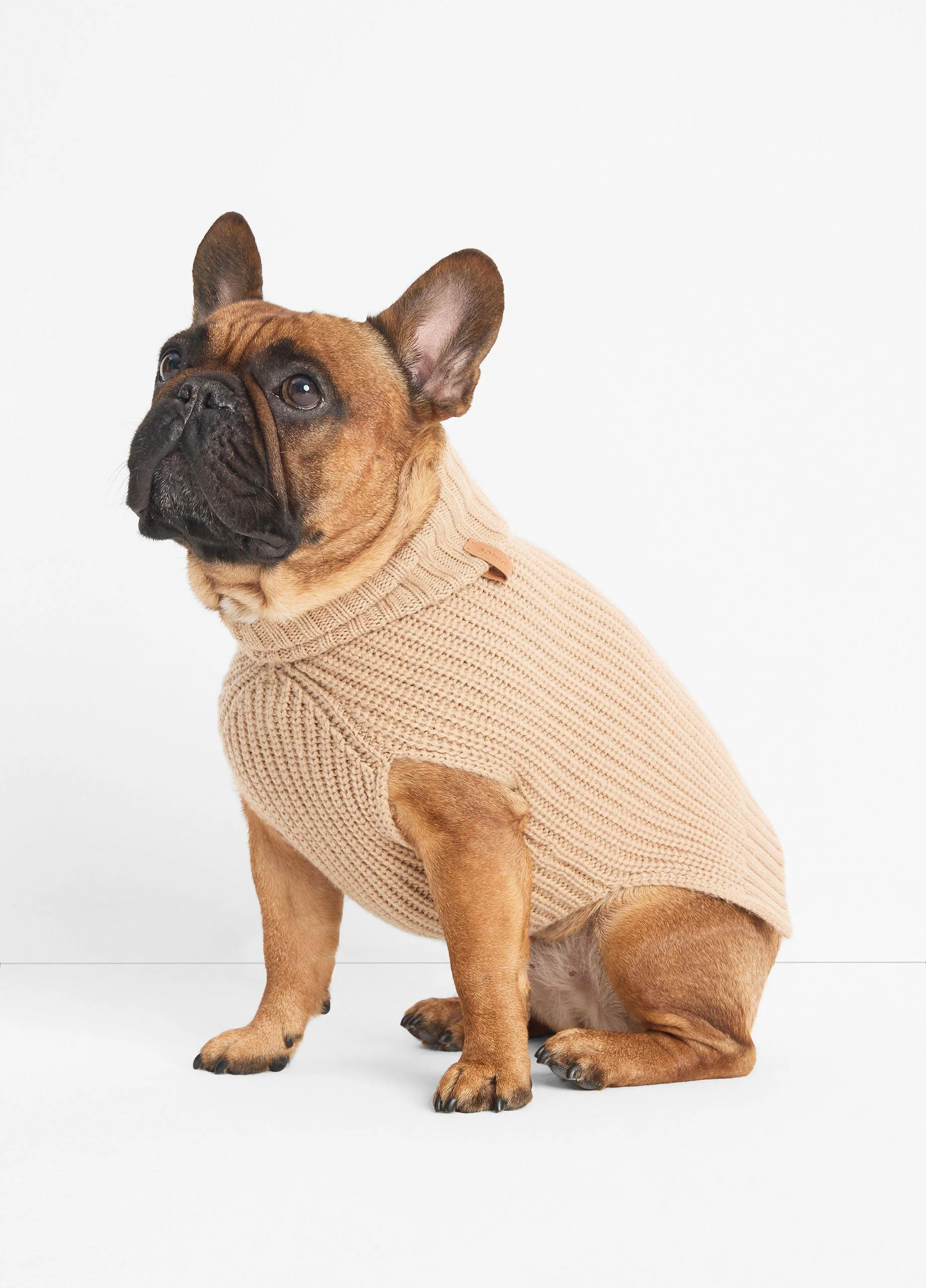 Wool and Cashmere Shaker-Stitch Dog Sweater - 1