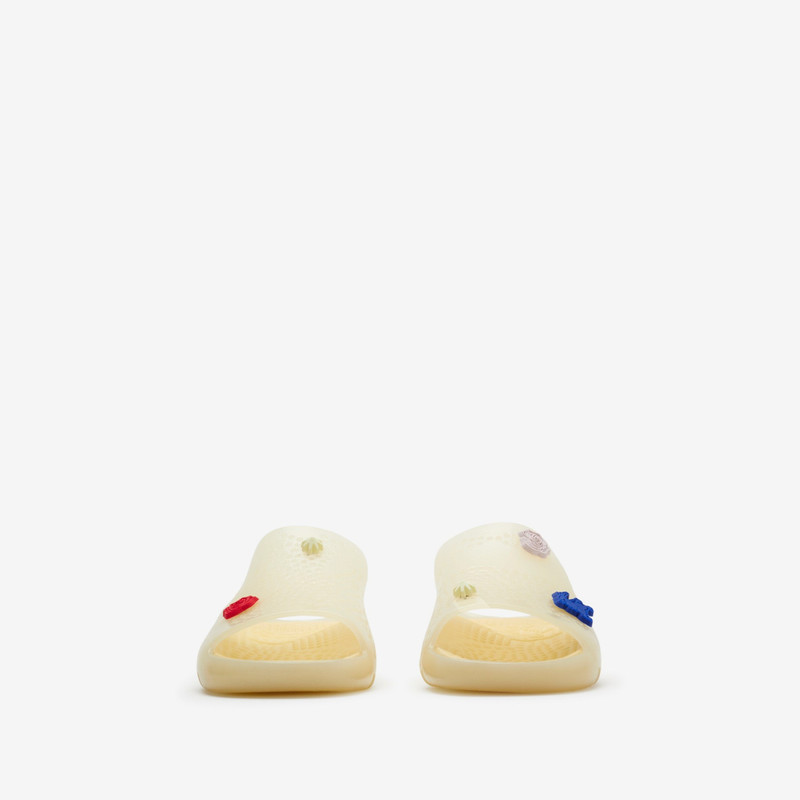 Rubber Stingray Slides 3