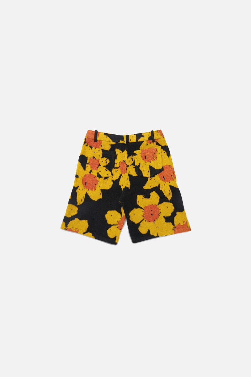 The Elder Statesman SENNA WOOL OVERSIZED SHORT outlook