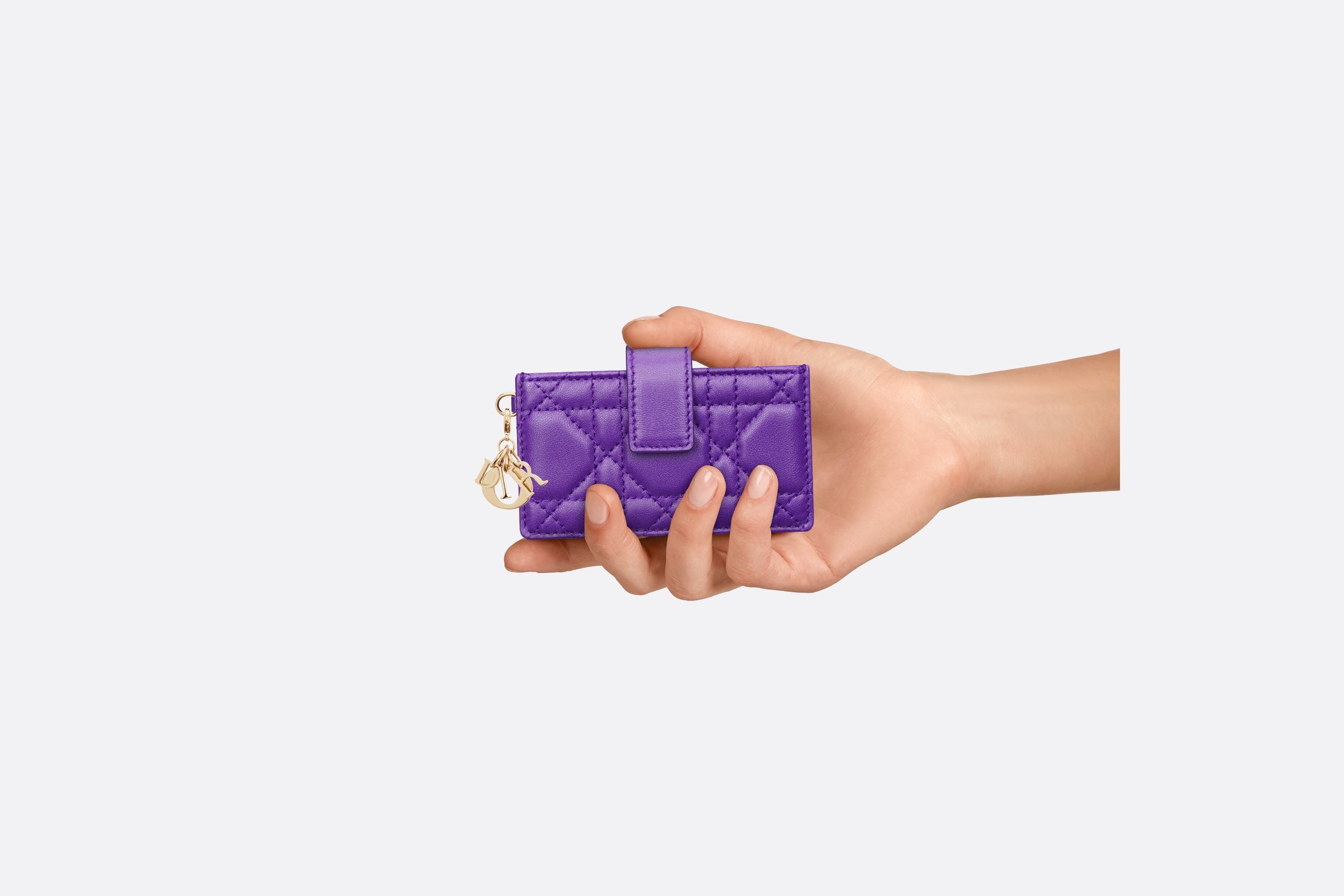 Lady Dior 5-Gusset Card Holder - 6