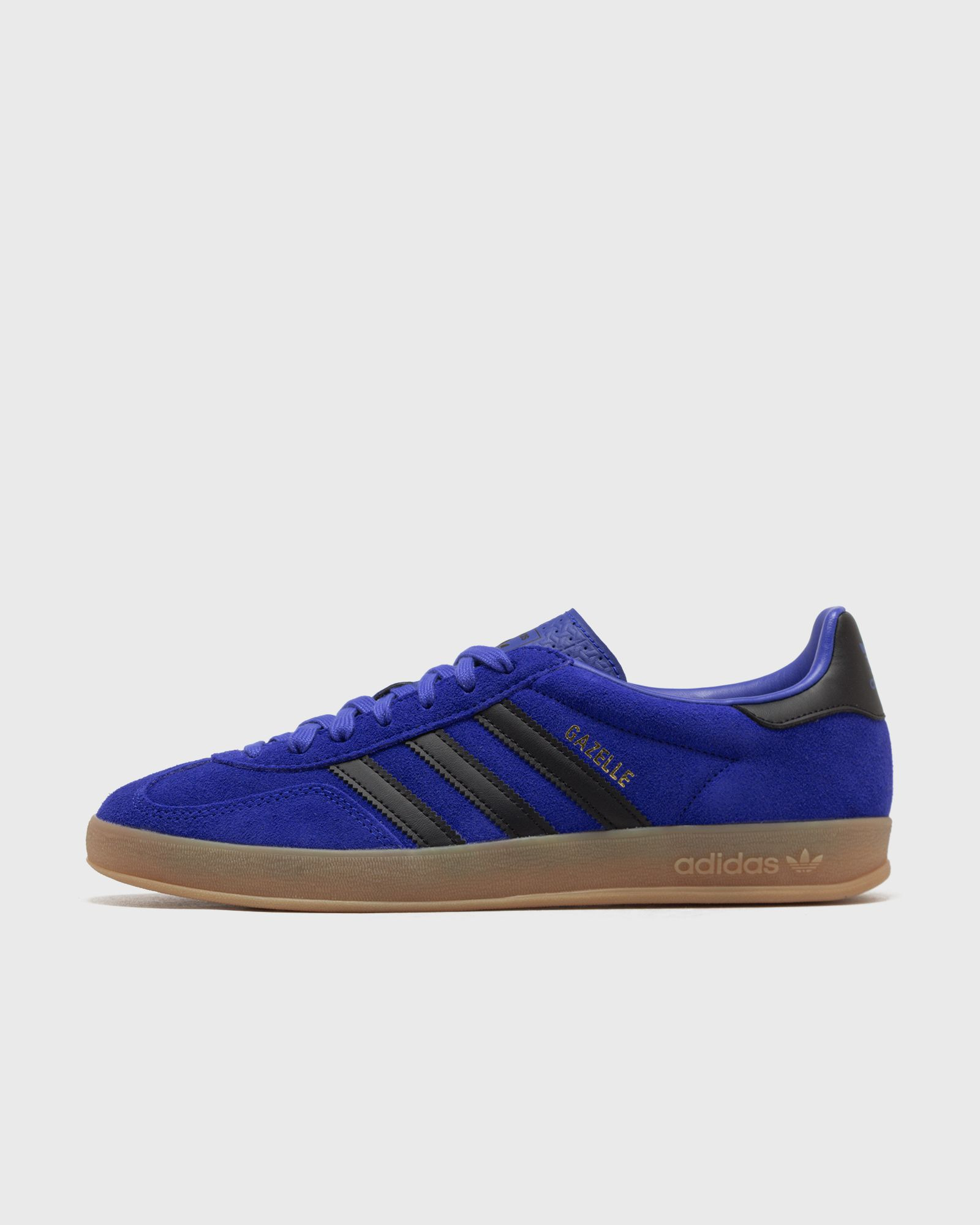 GAZELLE INDOOR - 1