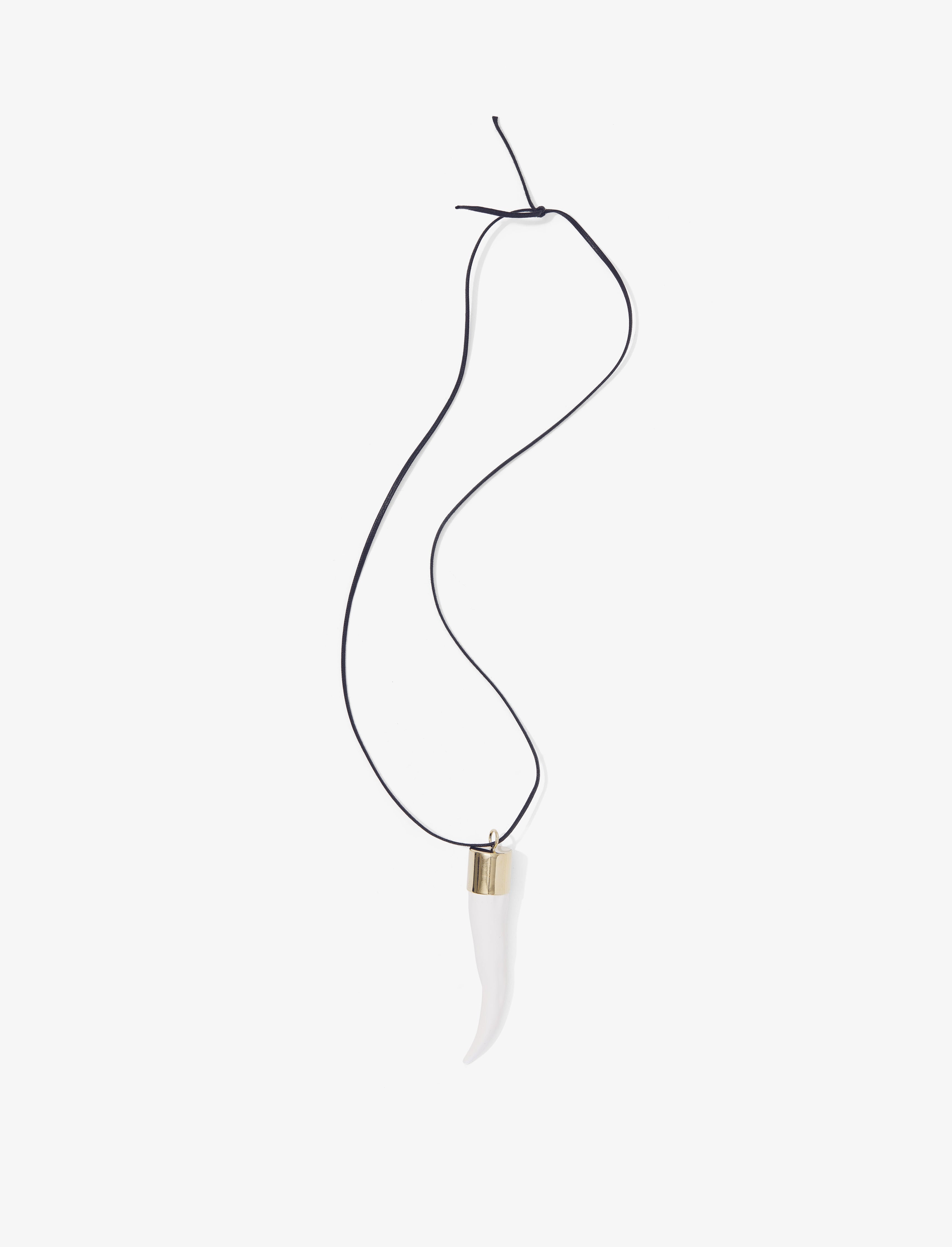 Horn Pendant Necklace - 1
