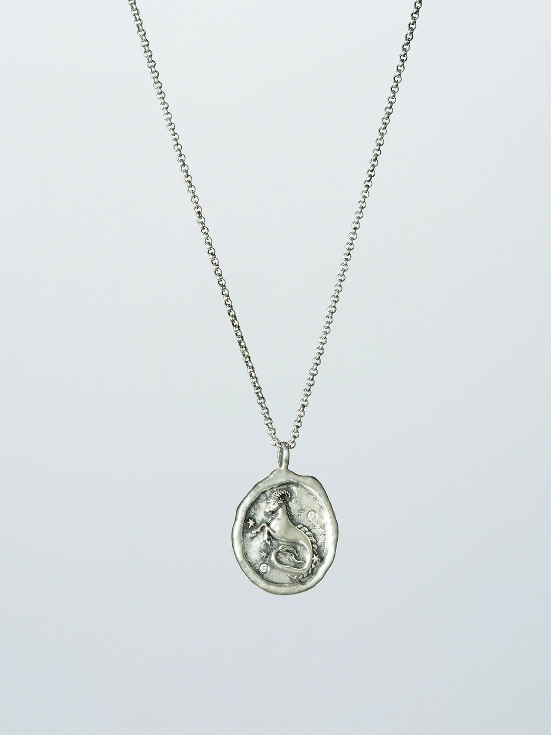 ZODIAC CAPRICORN NECKLACE - 1