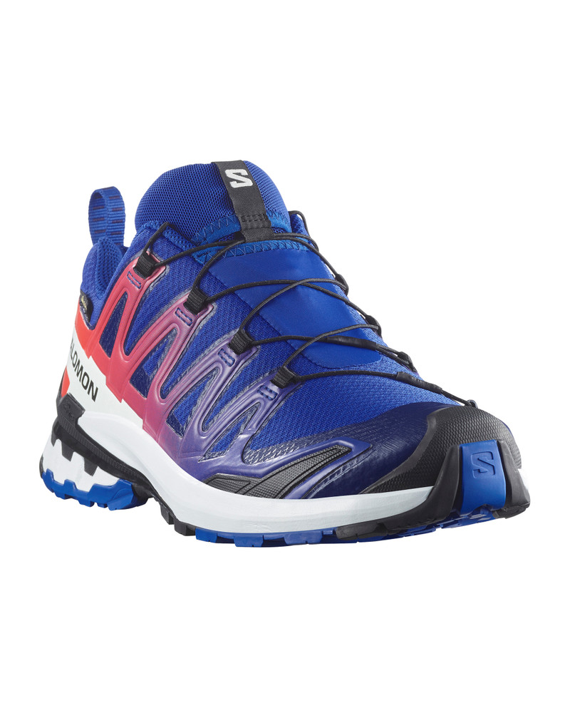 XA PRO 3D V9 GORE-TEX EQUIPE 5