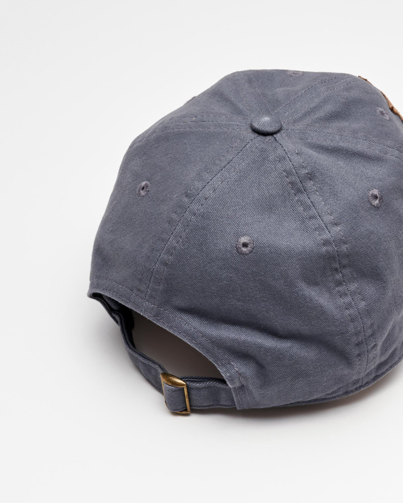 MSL Cap 5