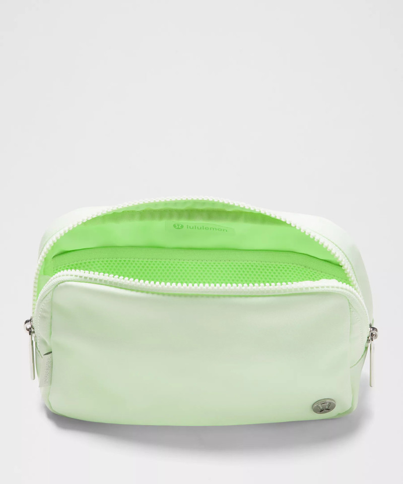 Everywhere Belt Bag Large with Long Strap 2L 5